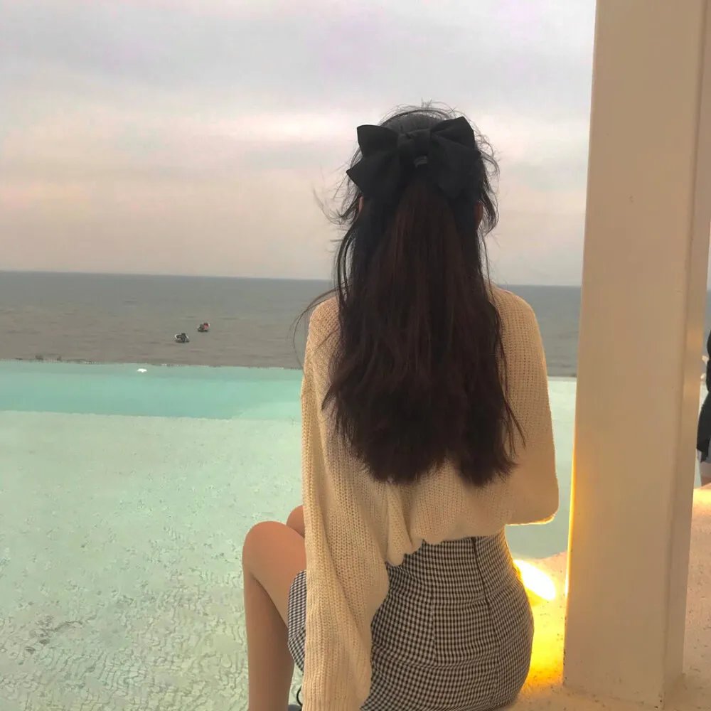 海豚奇迹